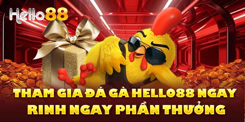 Kinh nghiệm chơi đá gà online